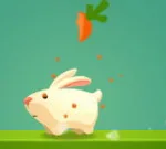 Greedy Rabbit