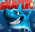 Jumpy Shark