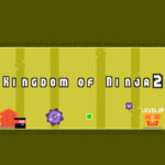 Kingdom of Ninja 2