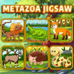 Metazoa Jigsaw