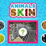 Animals Skin