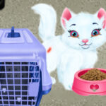 Baby Taylor Pet Care