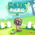 Cats Picnic