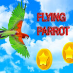 Flying Parrot