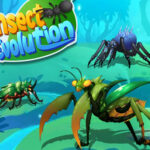 Insect Evolution