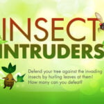 Insect Intruders