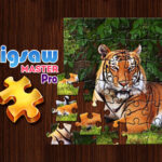 Jigsaw Master Pro