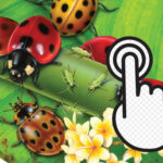 Ladybug Clicker