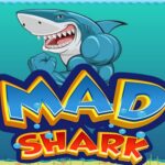 MAD Shark 2021