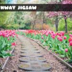 Pathway Jigsaw