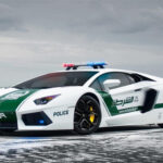 Police Cars Jigsaw Puzzle