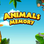 Super Animal Memory