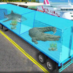 Transport Sea Animal