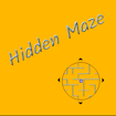 Hidden Maze