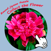 Round jigsaw Puzzle – Collect the Flower