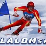 Slalom Ski Simulator